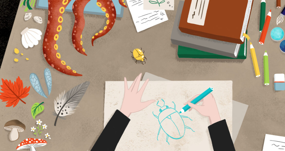 Animali fantastici – Mola Mola (Il Pesce Luna)